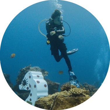 EASY · PADI 潛水教練