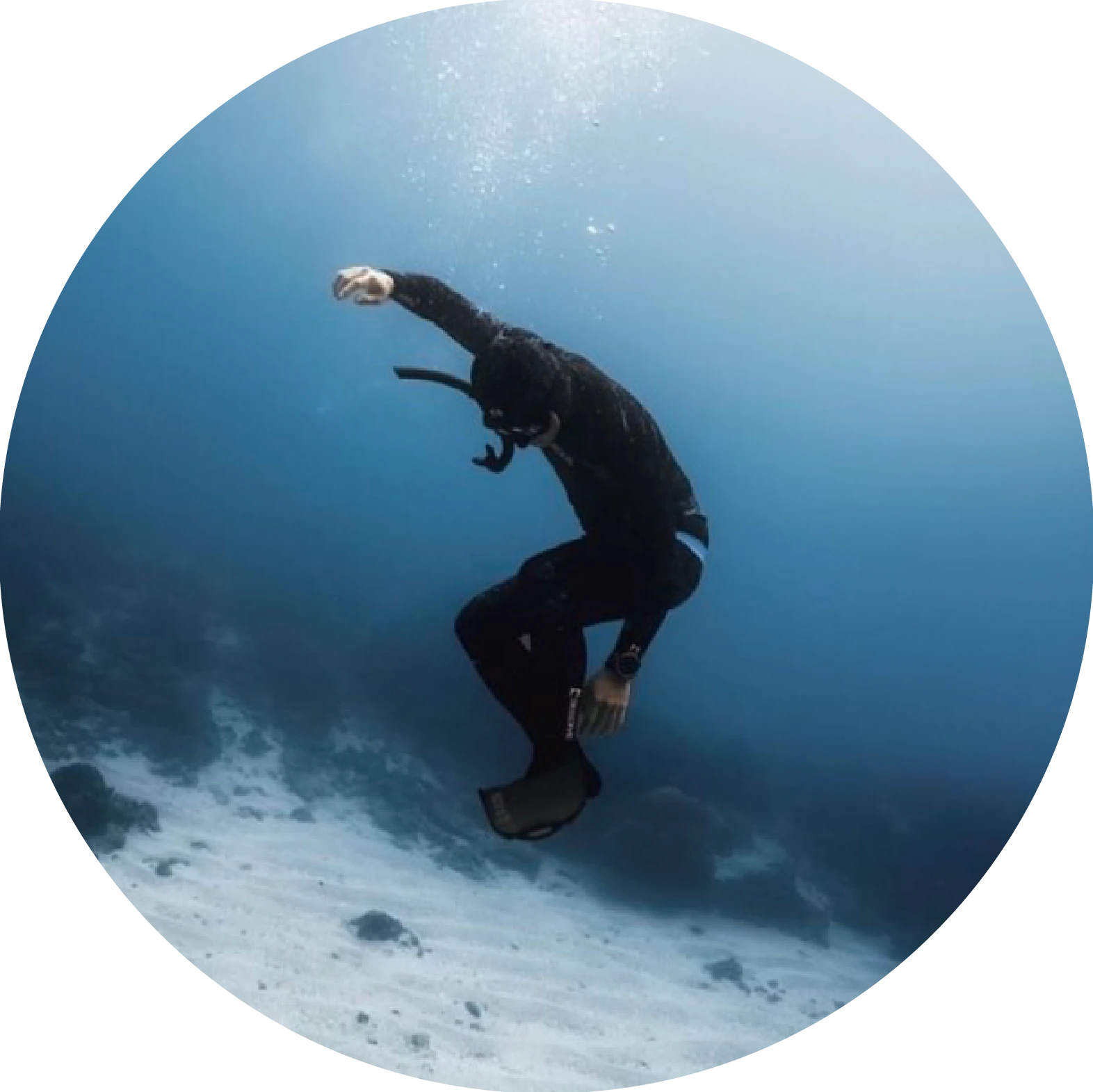 阿凱 · PADI 教練 · AIDA 自由潛水助教