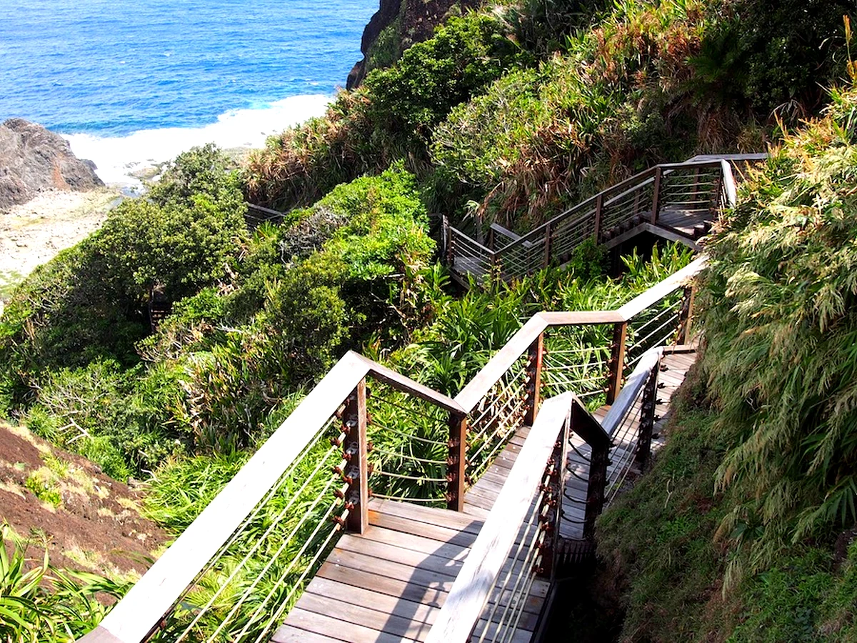 綠島過山古道｜梅花鹿與蝴蝶生態登山步道｜Guoshan Old Trail, Green Island